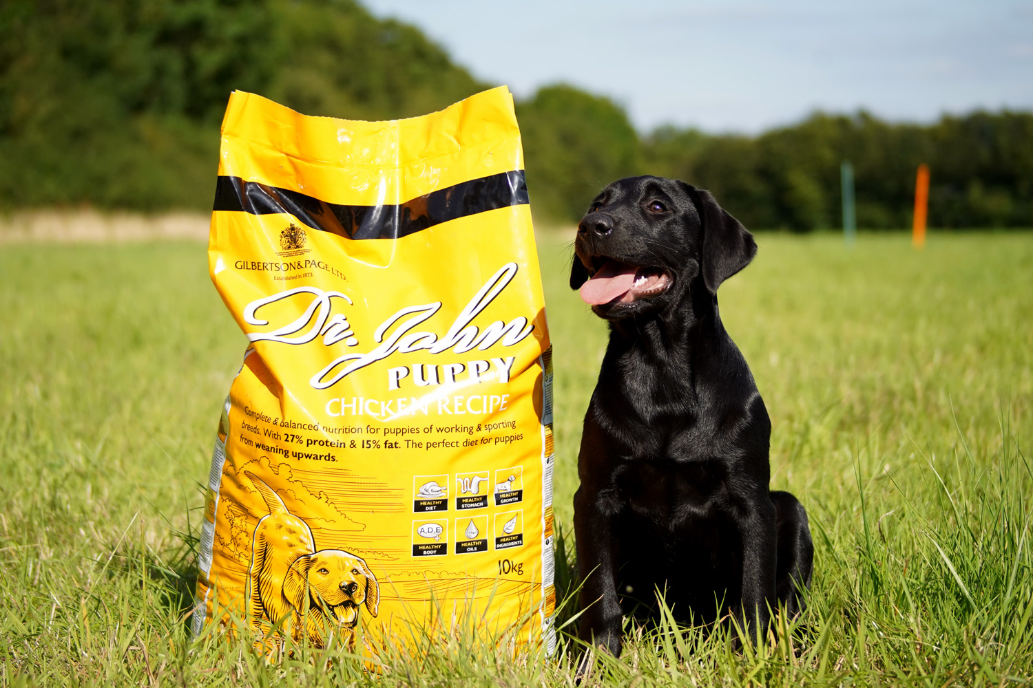 How long will my bag of dog food last? Gilbertson and Page Dog, Cat